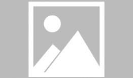 摘花视频,摘花视频背后的温馨故事