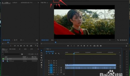 色黄视频网站,内容解析与行业反思